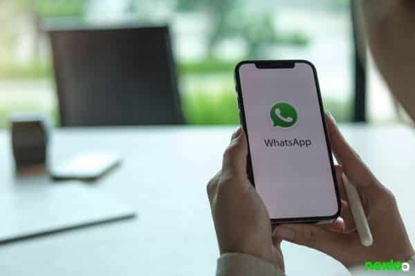 whatsapp whatsapp business 12