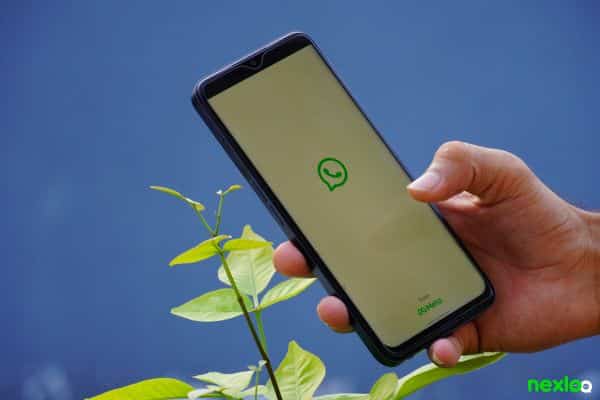 whatsapp whatsapp business